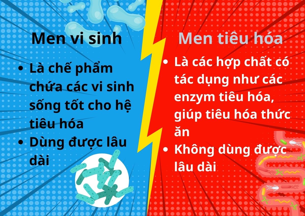 Men vi sinh có ở đâu, có tác dụng gì? 30 Men vi sinh