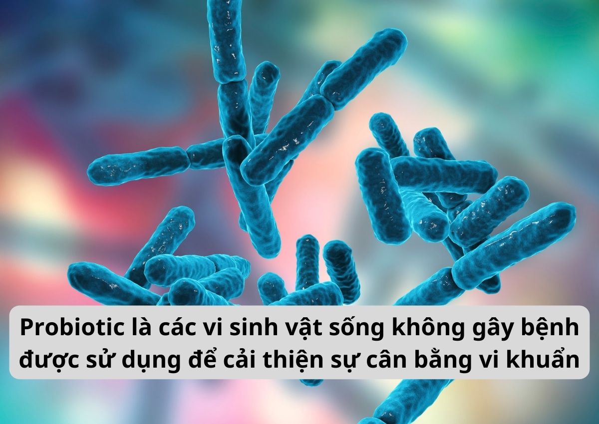 Men vi sinh có ở đâu, có tác dụng gì? 17 Men vi sinh