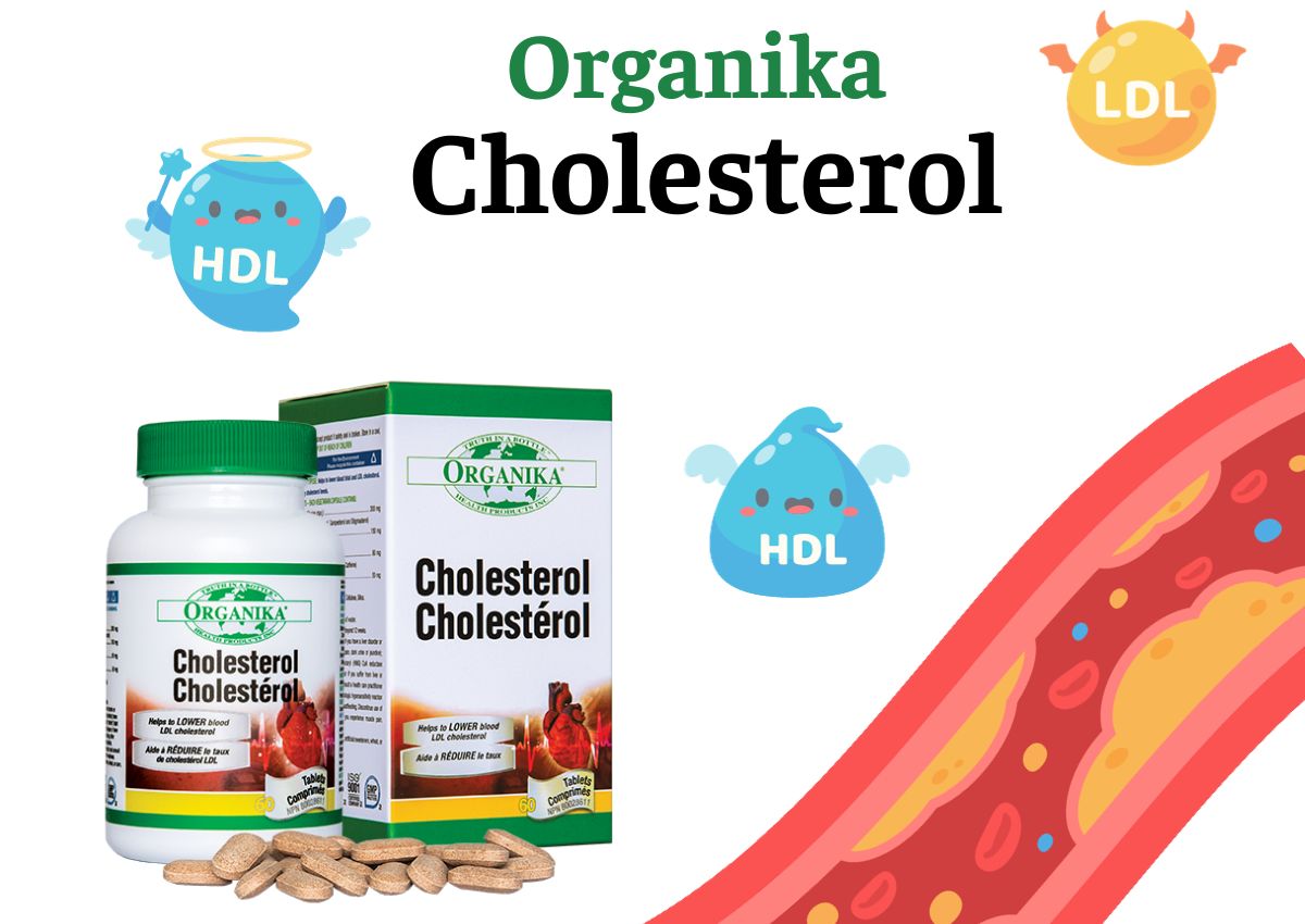 Organika Cholesterol