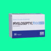 Thuốc Piyeloseptyl 100mg