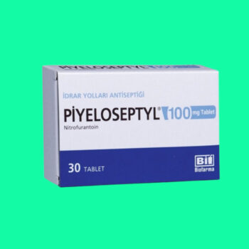 Thuốc Piyeloseptyl 100mg