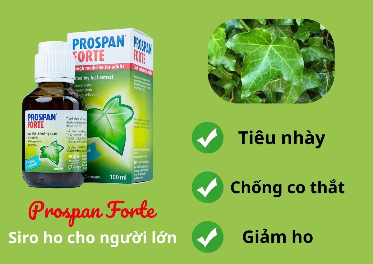 Siro ho cho người lớn Prospan Forte 100ml