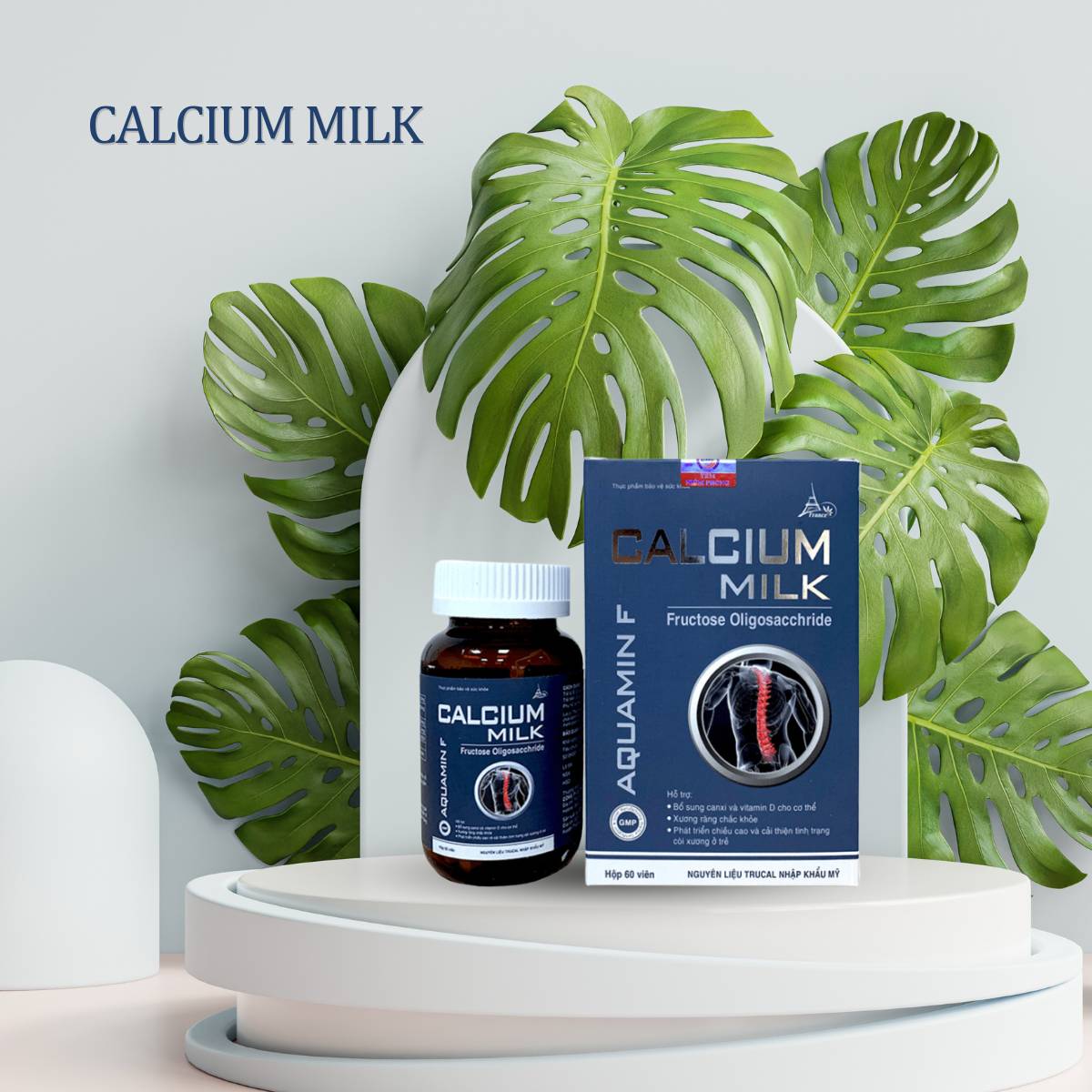 Calcium Milk Eiffel 9 Calcium Milk