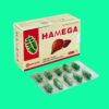 Hamega