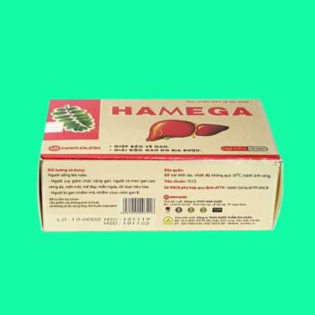 Hamega 6 Hamega