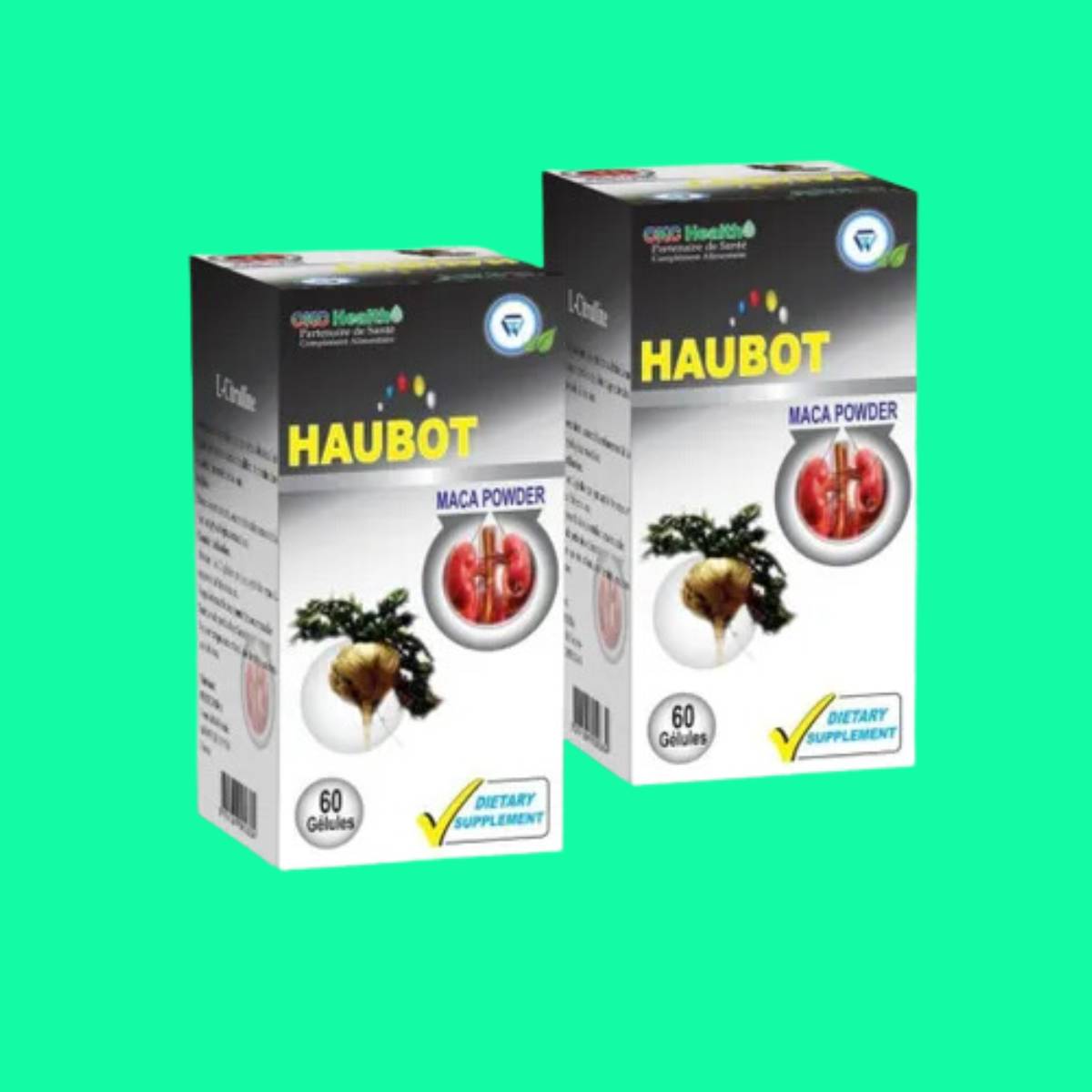 haubot-1 Haubot