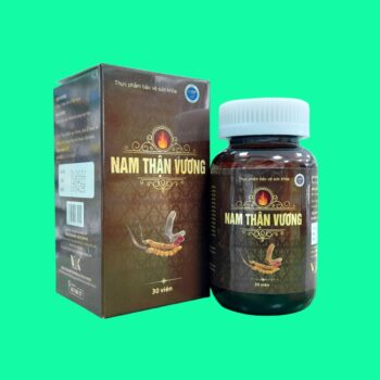Nam Thận Vương