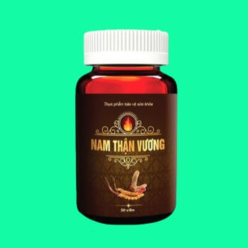 Nam Thận Vương 7 Nam Thận Vương