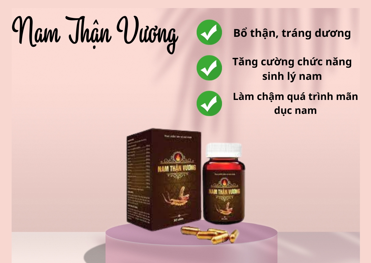 Nam Thận Vương 12 Nam Thận Vương
