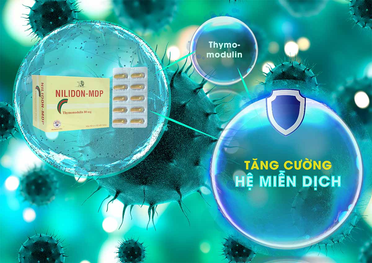 Thuốc Nilidon-MDP giúp tăng cường miễn dịch