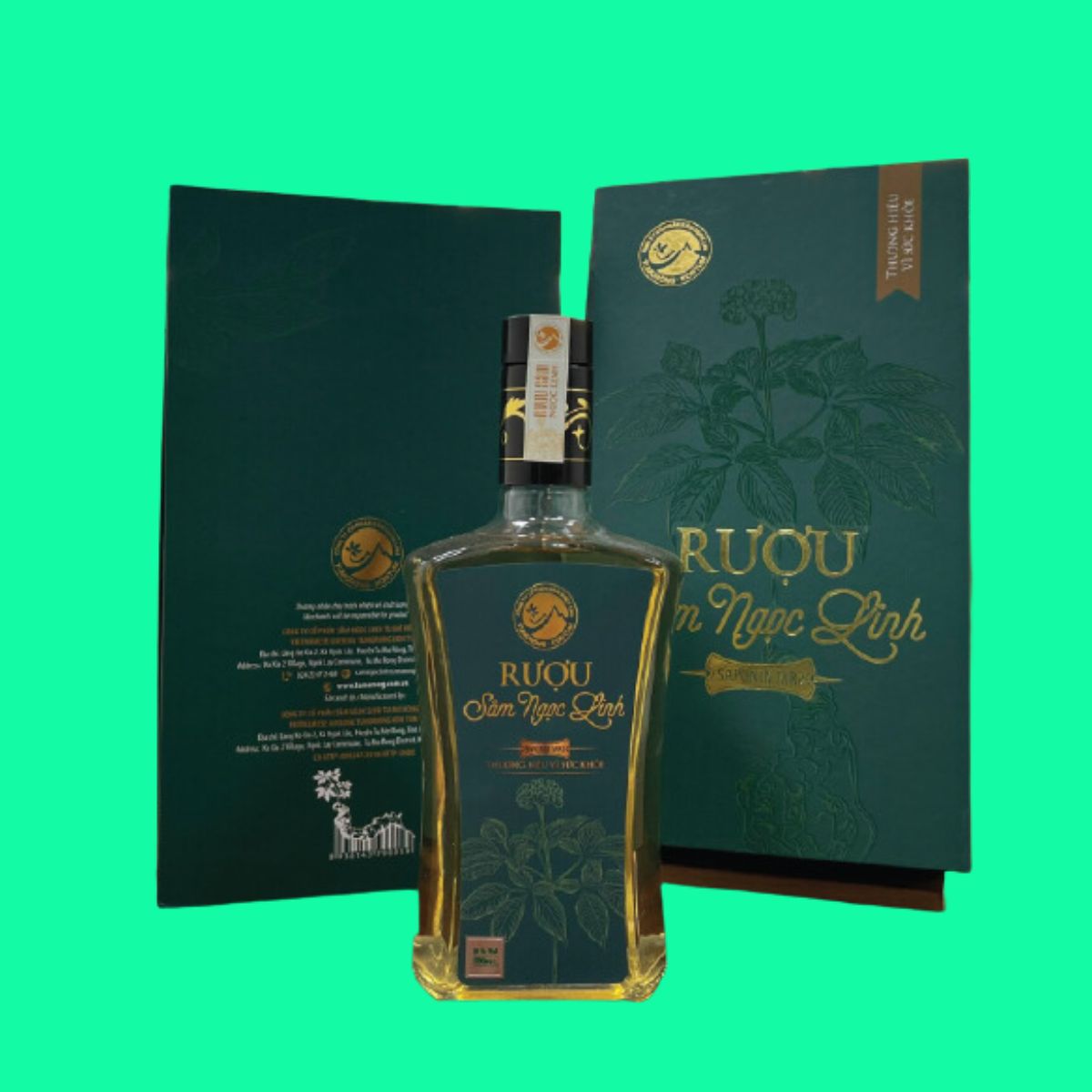 ruou-sam-ngoc-linh-3 Rượu sâm Ngọc Linh (Chai vuông 500ml) Tu Mơ Rông