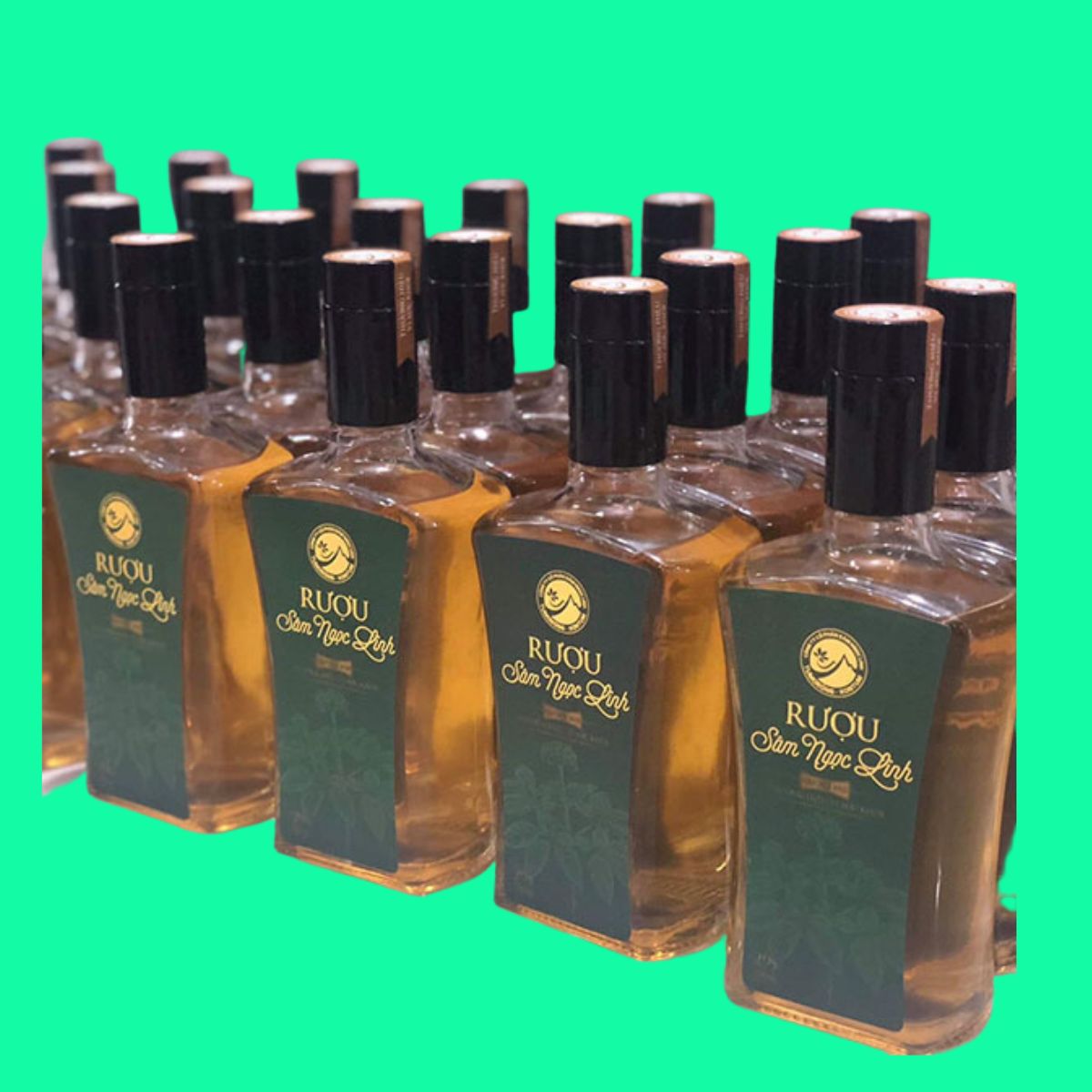 ruou-sam-ngoc-linh-500ml-3 Rượu sâm Ngọc Linh (Chai vuông 500ml) Tu Mơ Rông