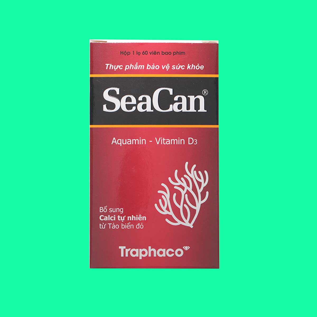 seacan-5 SeaCan