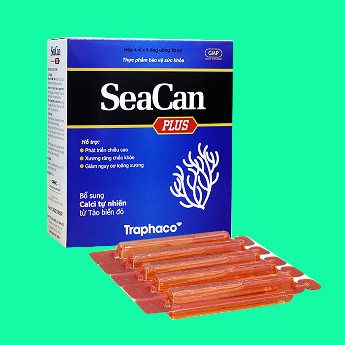 seacan-plus-1 Seacan Plus