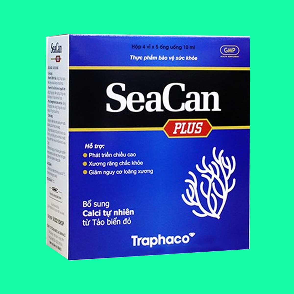 seacan-plus-2 Seacan Plus