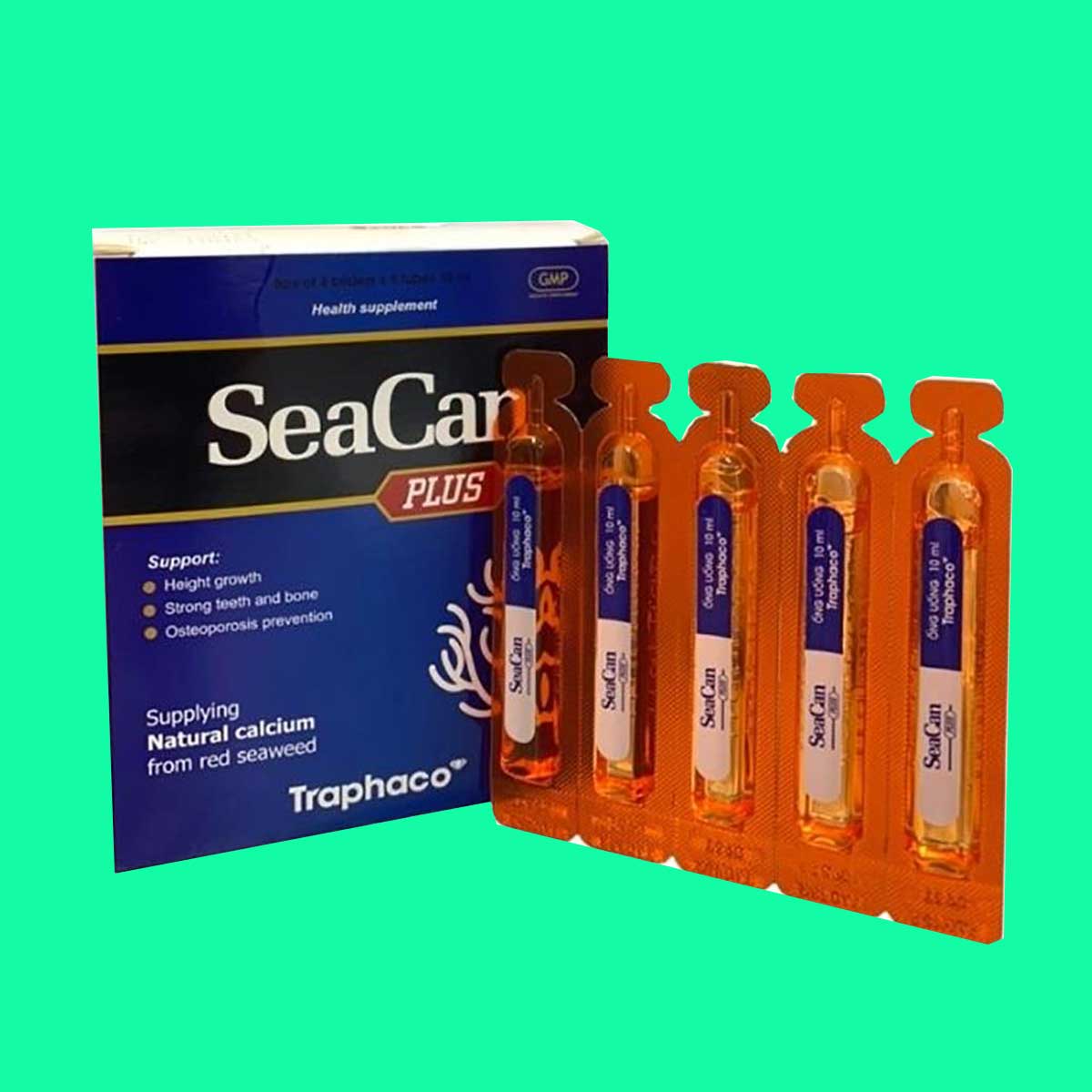 seacan-plus-3 Seacan Plus