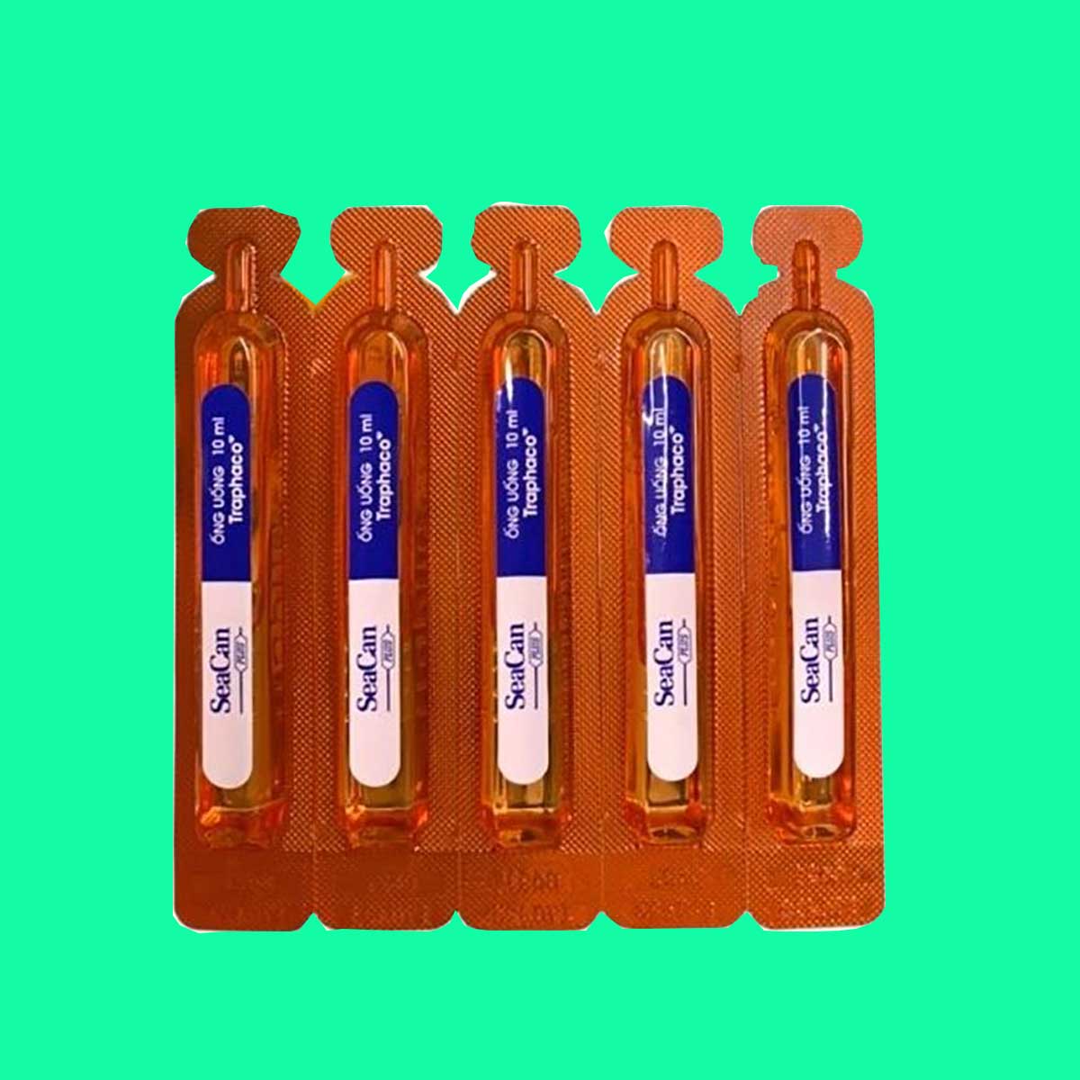 seacan-plus-6 Seacan Plus