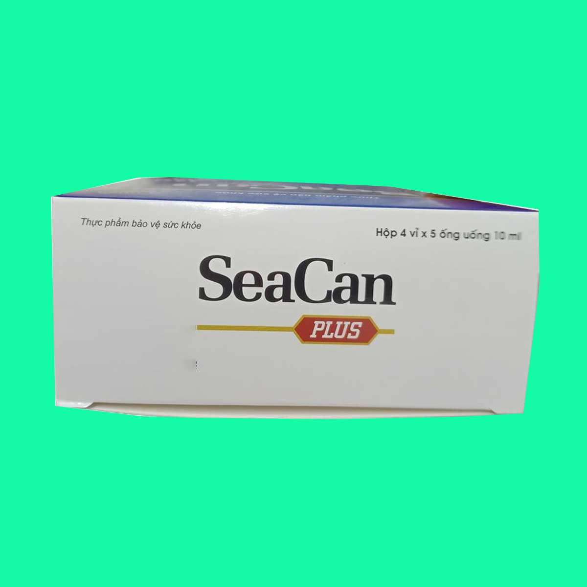 seacan-plus-7 Seacan Plus
