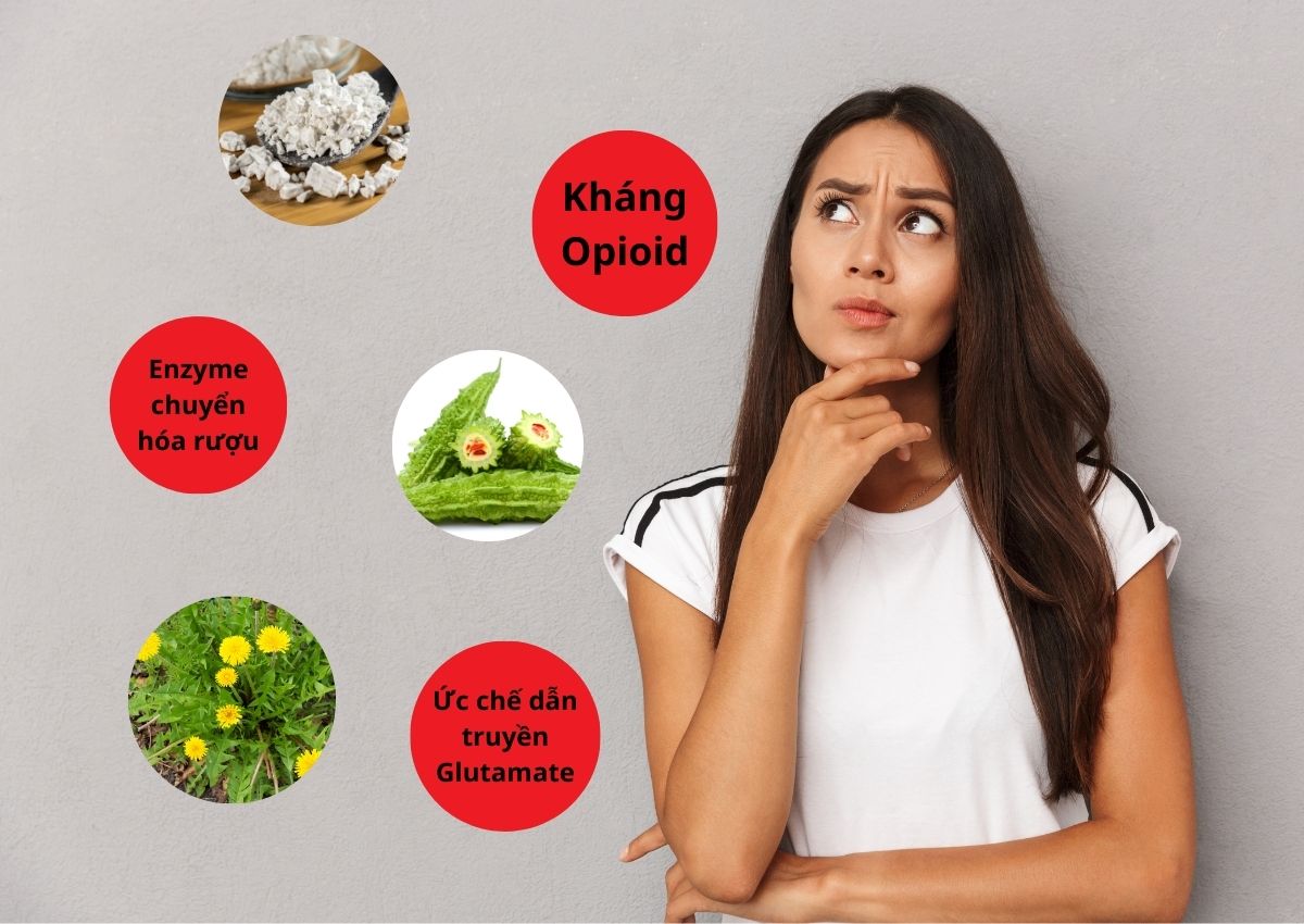Thuốc cai rượu có giúp cai rượu vĩnh viễn không? 17 Thuốc cai rượu