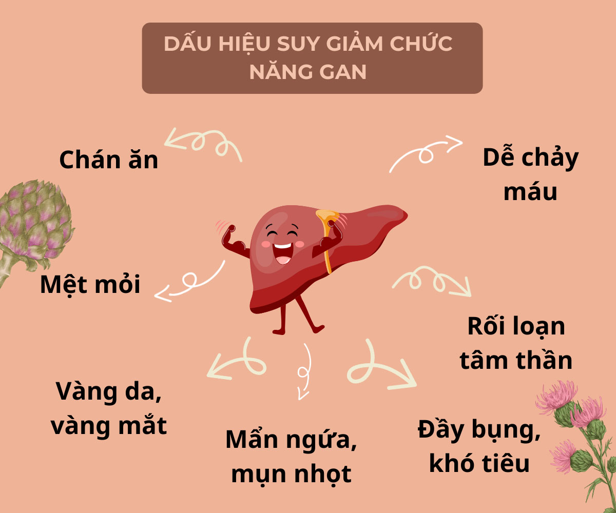 Dấu hiệu suy giảm chức năng gan