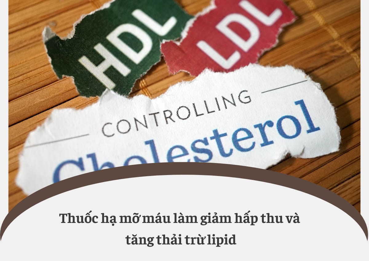 Thuốc hạ mỡ máu và những lưu ý khi sử dụng 19 Thuốc hạ mỡ máu làm giảm hấp thu và tăng thải trừ lipid