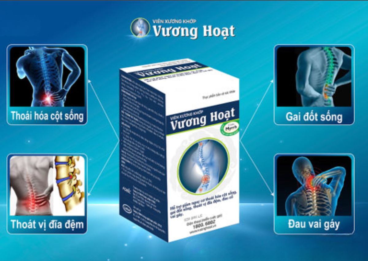 Vương Hoạt lọ 80 viên 9 Vương Hoạt