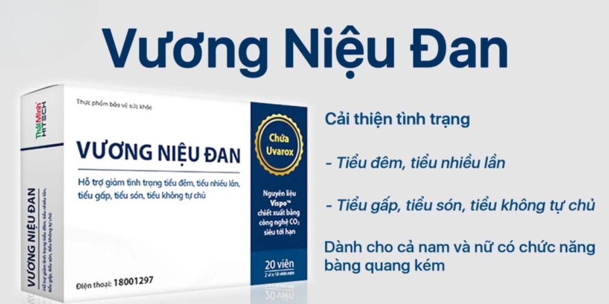 Vương Niệu Đan hộp 20 viên 9 Vương Niệu Đan Hộp 20 viên