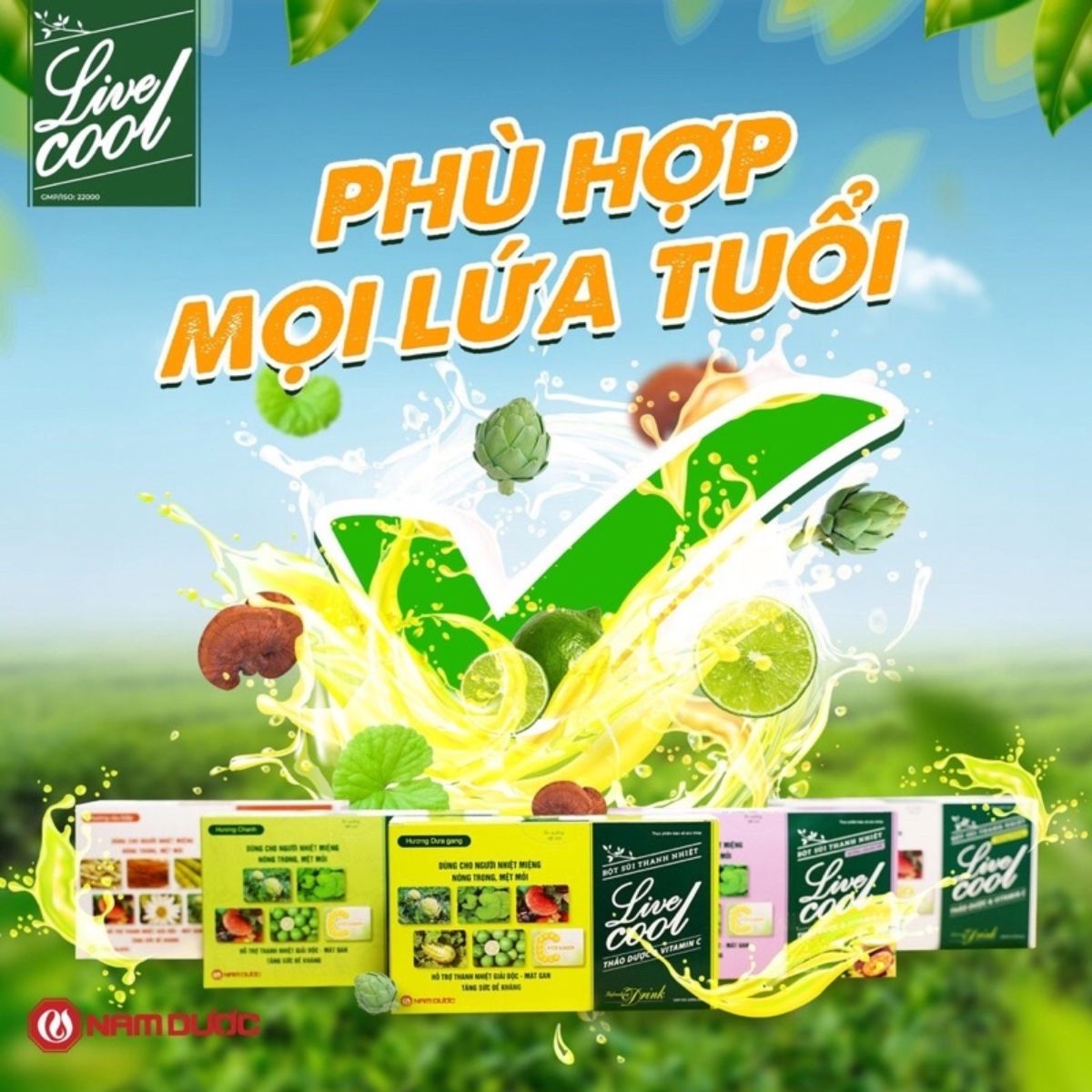 Bột sủi thanh nhiệt LiveCool hương dưa gang