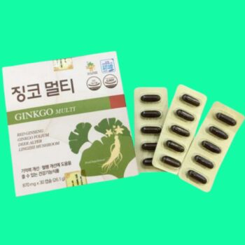 Ginkgo Multi 4 Ginkgo Multi