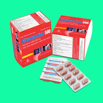 Glucosamine 500mg Boston