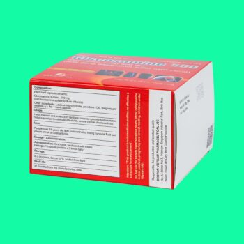 Glucosamine 500 Boston 5 Glucosamine 500mg Boston