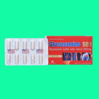 Glucosamine 500 Boston 8 Glucosamine 500mg Boston