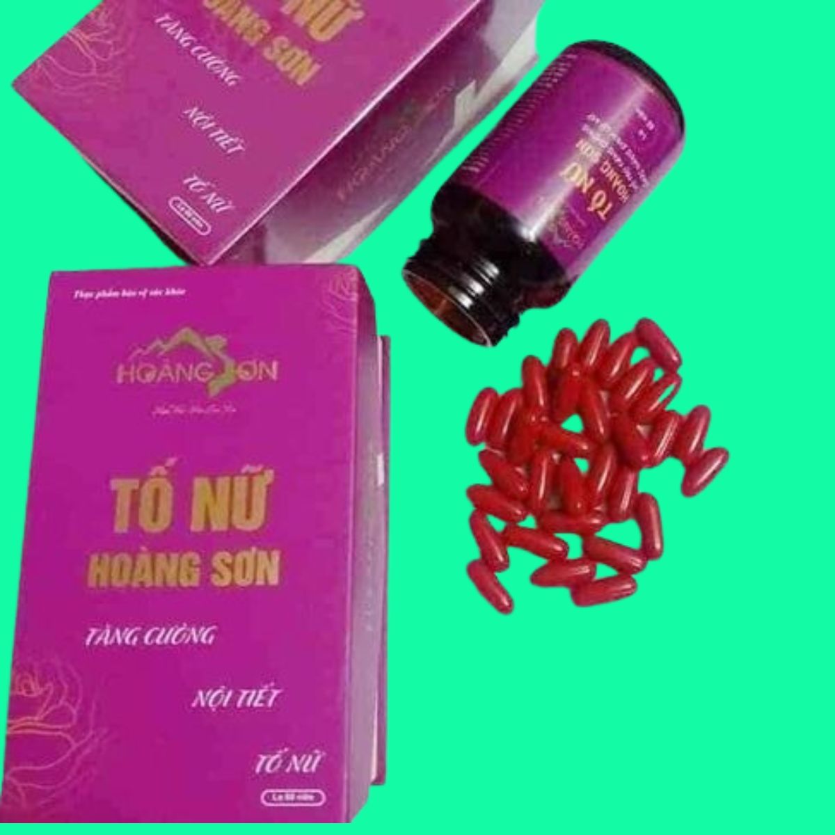 to-nu-hoang-son-6 Tố Nữ Hoàng Sơn