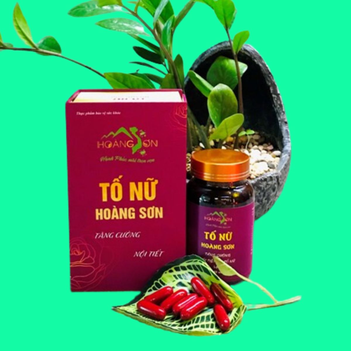 to-nu-hoang-son-8 Tố Nữ Hoàng Sơn