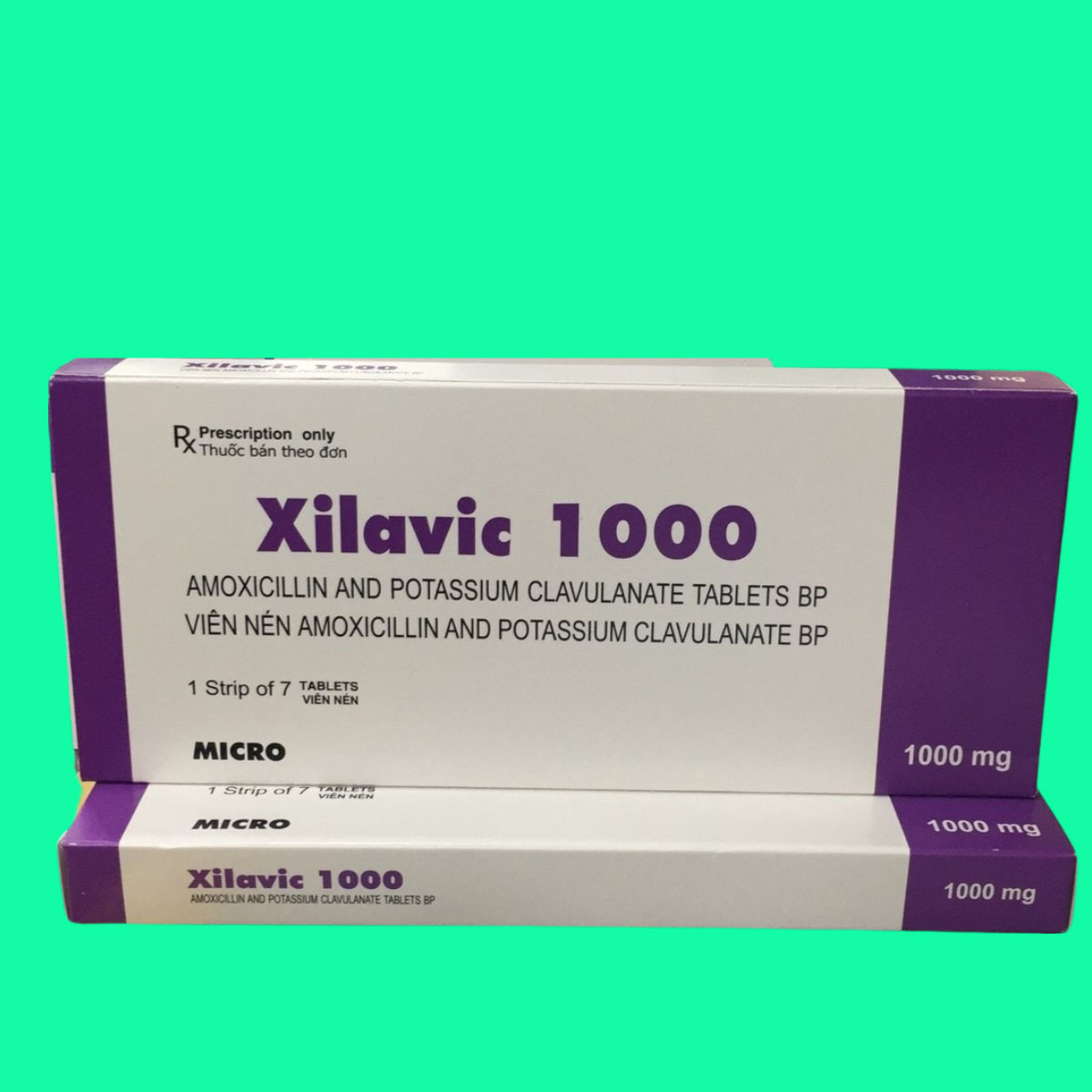 xilavic-4 Xilavic 1000
