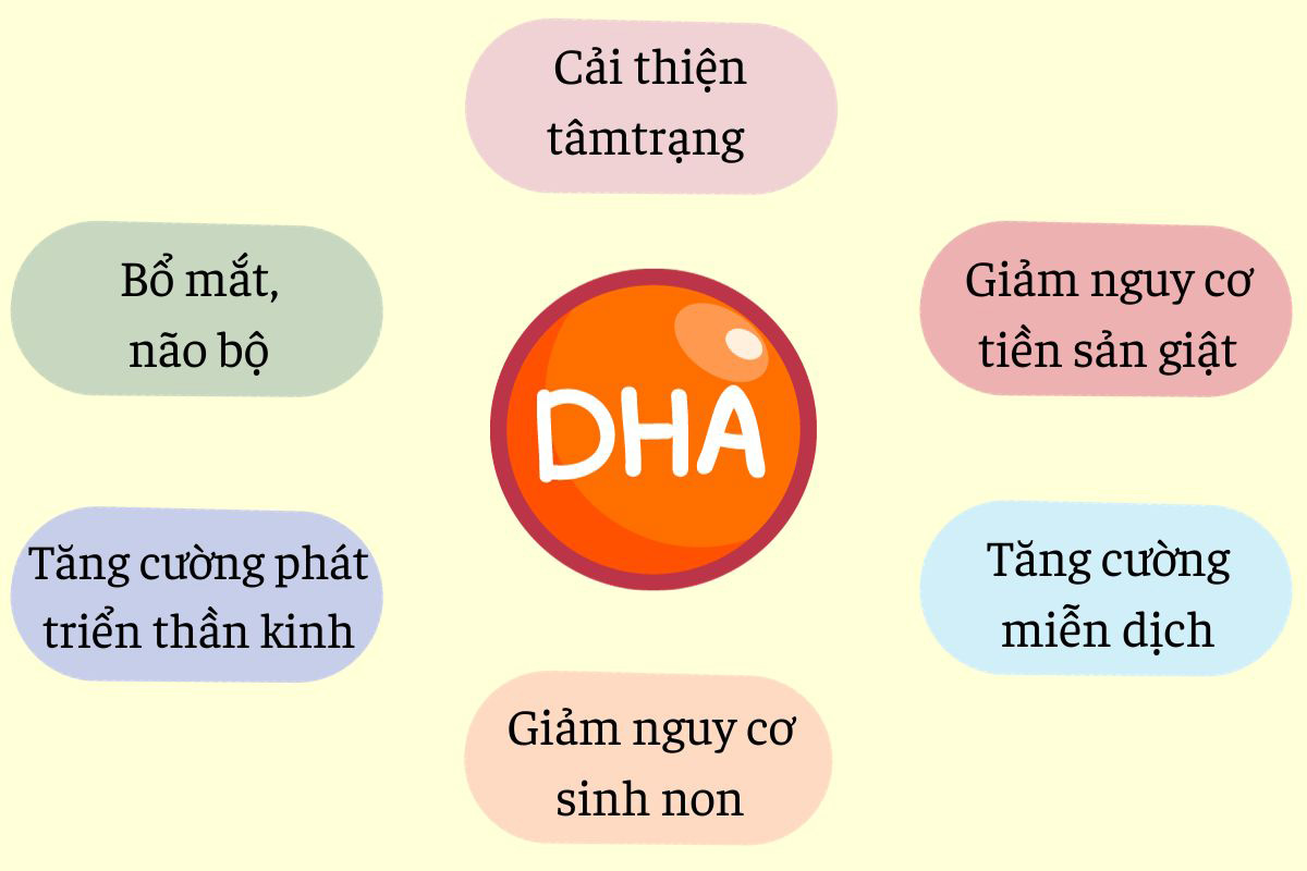Review 7 viên uống bổ sung DHA cho bà bầu được chị em tin dùng 11 Lợi ích của DHA với bà bầu, thai nhi