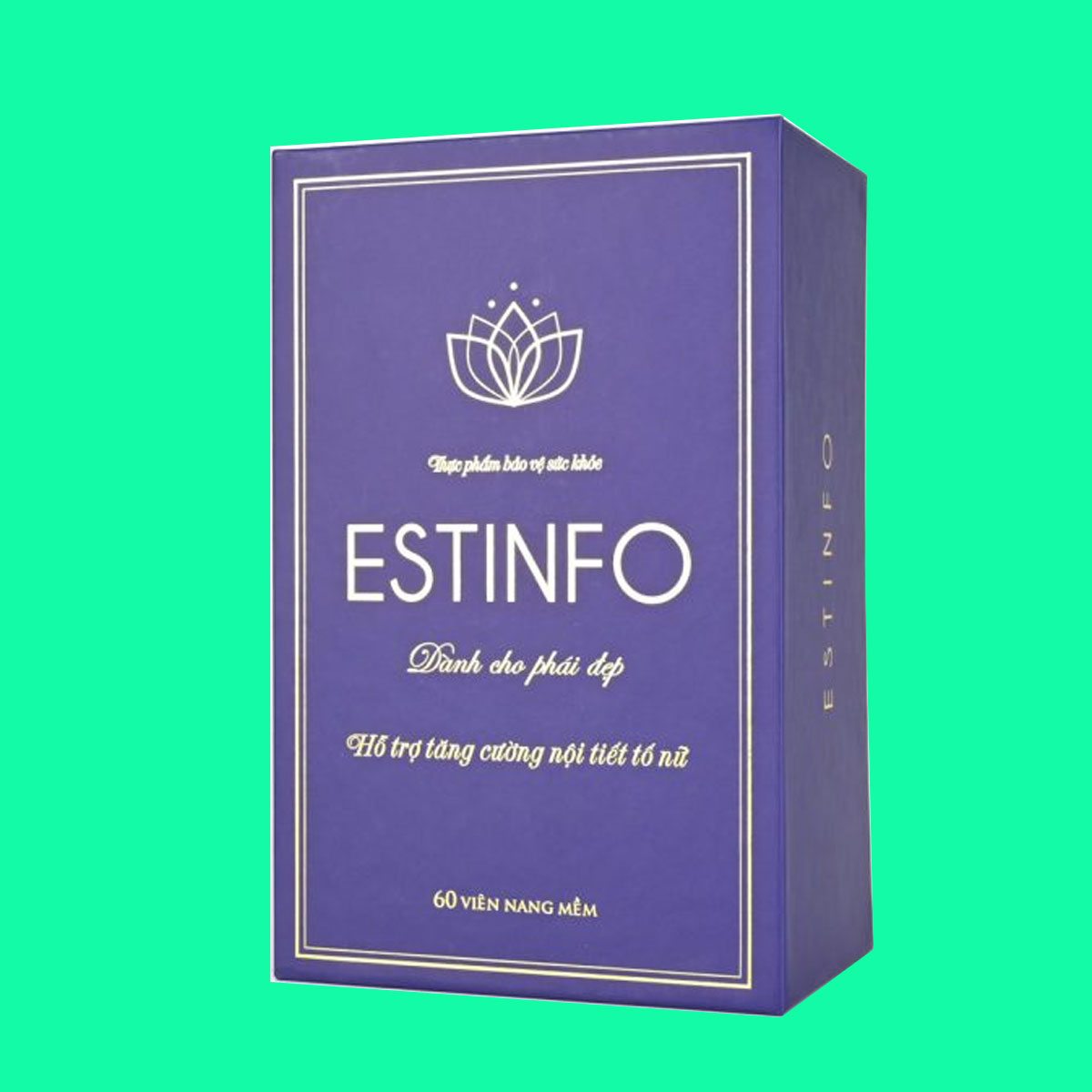 estinfo-2 Estinfo