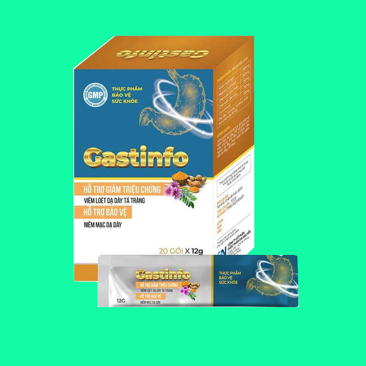 gastinfo-12 Gastinfo