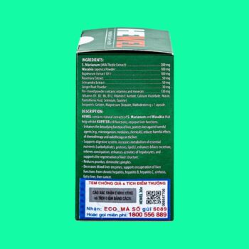 Hewel 3 Hewel