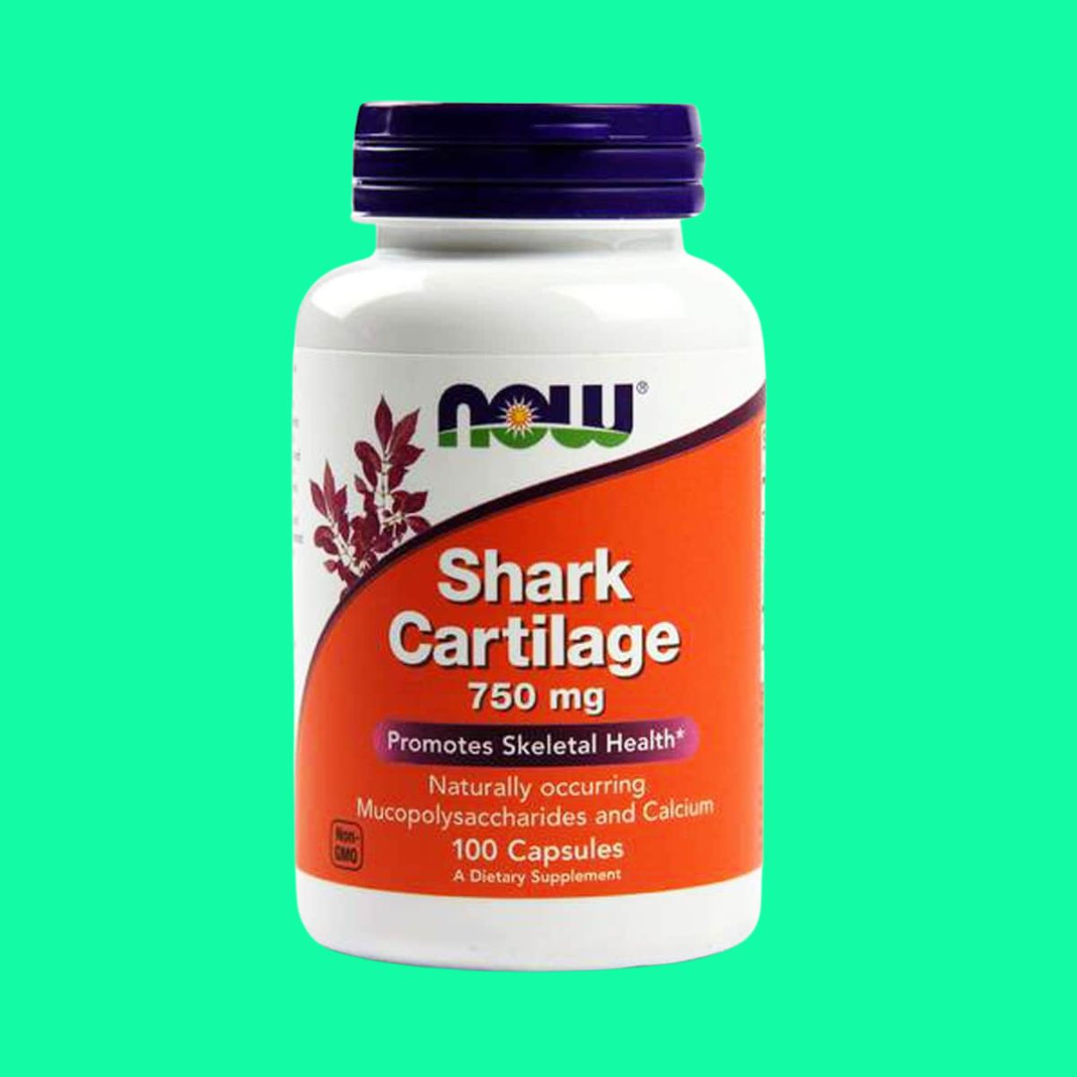 now-shark-cartilage-750mg-1 Now Shark Cartilage 750mg