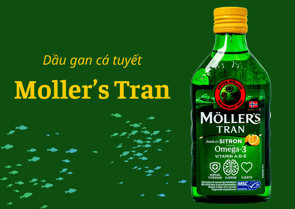 7 loại dầu cá Omega 3 cho trẻ em được nhiều chuyên gia khuyên dùng 26 Mollers Tran