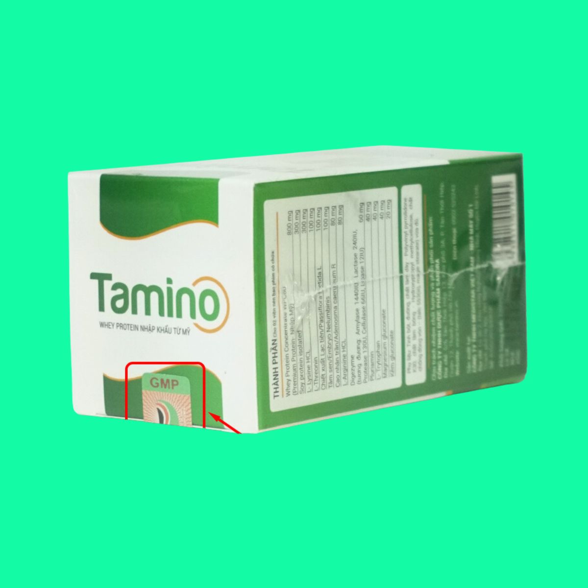 tamino-7 Tamino