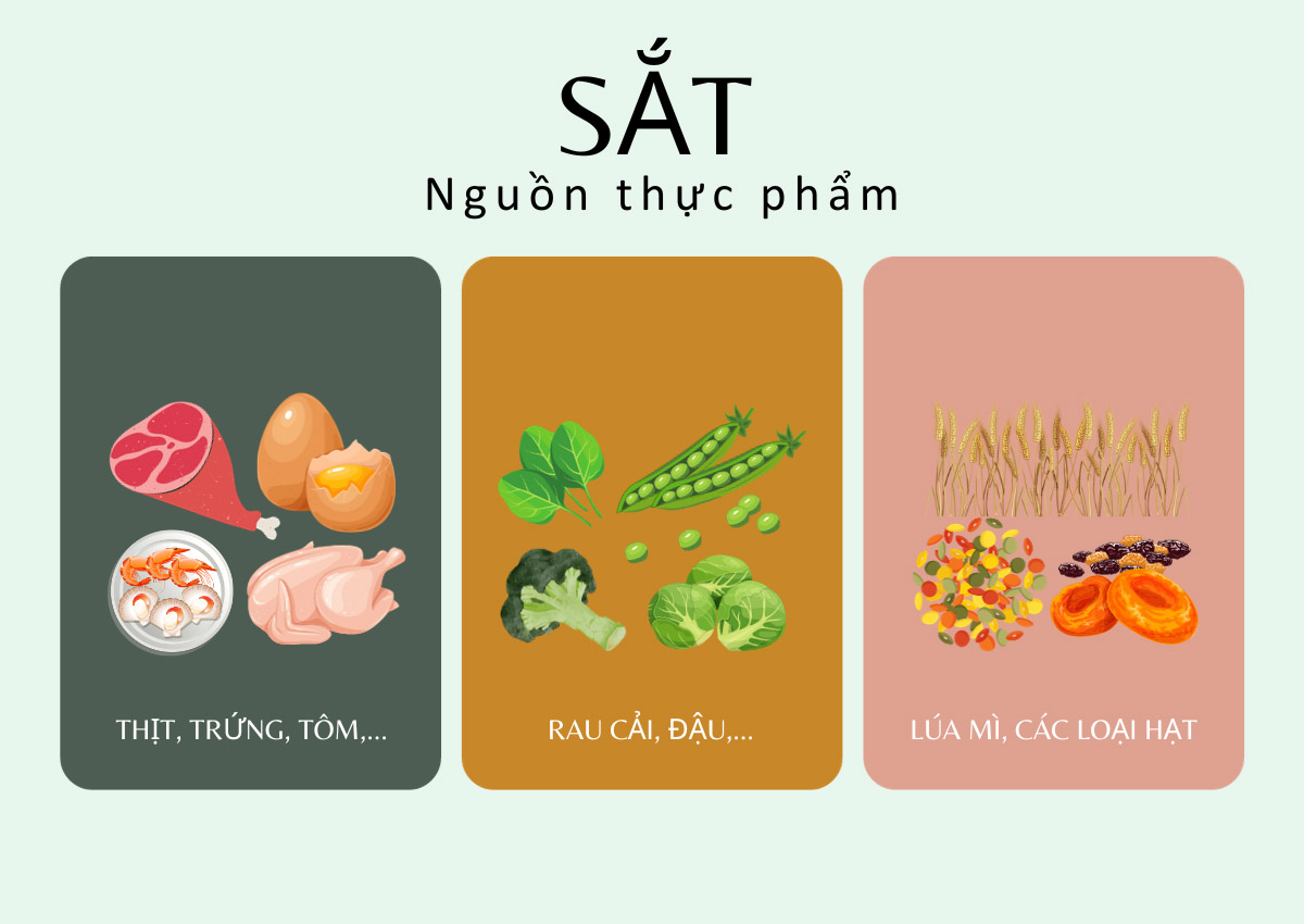 Nguồn thực phẩm chứa sắt