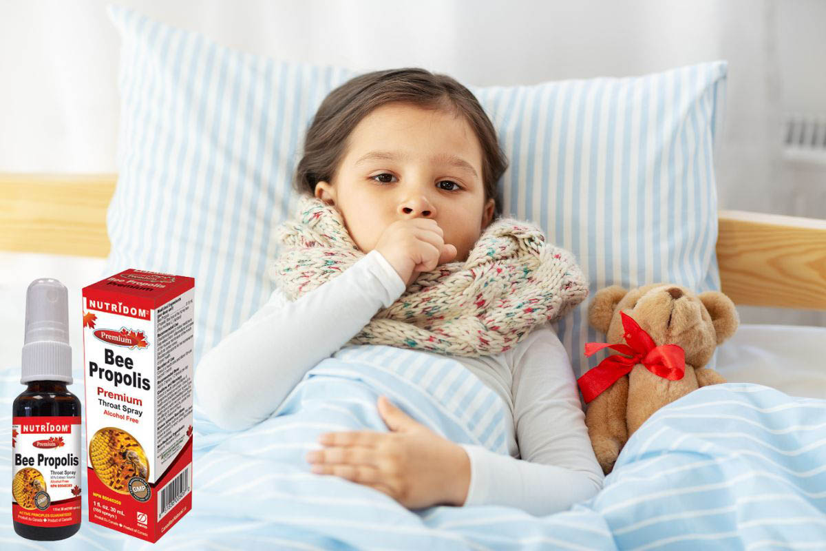 Xịt giảm đau rát họng con ong Nutridom Premium Bee Propolis Spray Kids