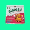 BibiGSV 8 BibiGSV