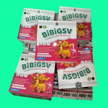 BibiGSV