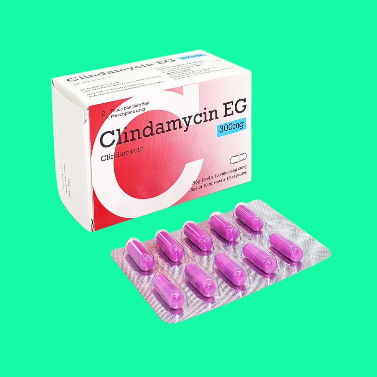 clindamycin-eg-300mg-1 Thuốc Clindamycin EG 300mg