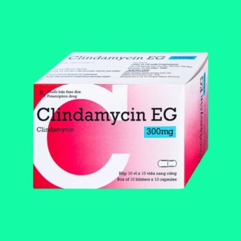 Clindamycin EG 300mg 1 Thuốc Clindamycin EG 300mg