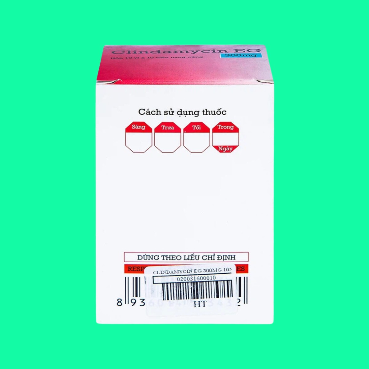 clindamycin-eg-300mg-5 Thuốc Clindamycin EG 300mg