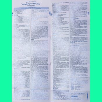 Clindamycin EG 300mg 5 Thuốc Clindamycin EG 300mg